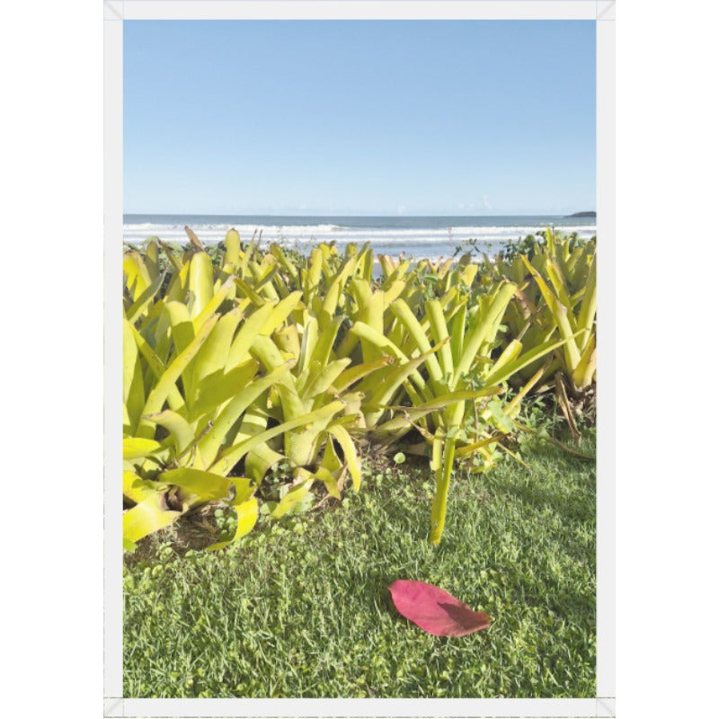 Impressão sob medida · 50,0×70,0 cm · PAPEL PHOTO MATTE 200 GRS MOLDURA BRANCA VIDRO INCOLOR