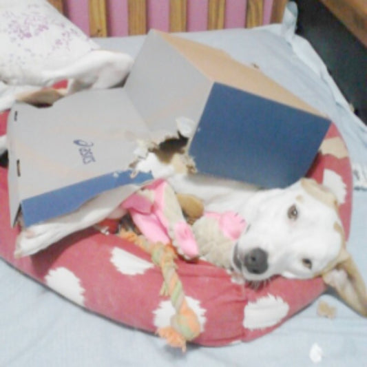 Impressão sob medida · 30,0×30,0 cm · PAPEL PHOTO MATTE 200 GRS