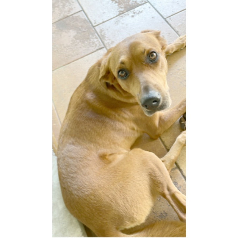 Impressão sob medida · 19,7×35,0 cm · CANVAS MUSEUM PRO CANVAS 385 GRS