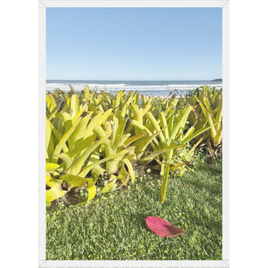 Impressão sob medida · 50,0×70,0 cm · PAPEL PHOTO MATTE 200 GRS MOLDURA BRANCA VIDRO INCOLOR